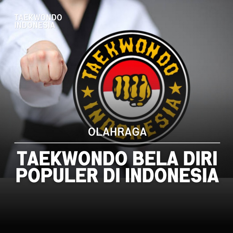 Taekwondo bela diri populer di Indonesia NBL Taekwondo Academy